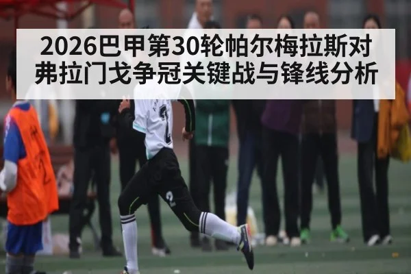 2026巴甲第30轮帕尔梅拉斯对弗拉门戈争冠关键战与锋线分析